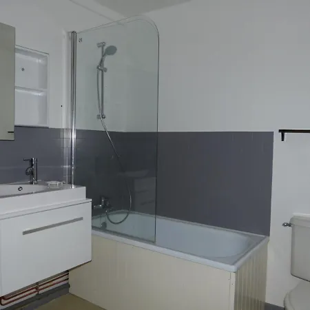 Studio Pratique Ski Aux Pieds Avec Terrasse Et Animaux Admis - Fr-1-181-2666